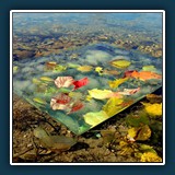 Walter Anstett - Herbst