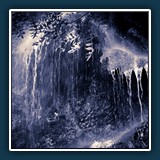 Andreas Skrenty: Fresh