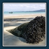 Anja Bender: Strandgut - Khao Lake Beach