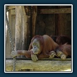 Günther Romey: Ins Gespräch vertieft