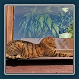 Günther Romey: Mittagspause