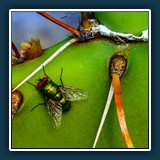 Ingrid Scheefe: Rastplatz