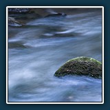 Peter Kurz: Ich bin noch da