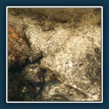 Ralf Walther: Wasserstruktur