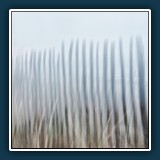 Margit Klaus - Es geht nicht weiter