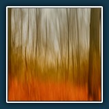 Margit Klaus - Feuerwald