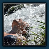 Georg Scherne
  Erfrischung pur