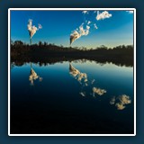 Gerd Stauder
  Kief'scher Weiher