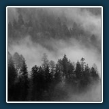 Hans Kirsch
  Nebelwald 2