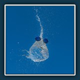 Margit Klaus
  Spritziges Nass