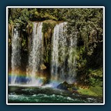 Osman Kadero
  Rainbow