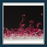 Peter Kurz
  Tanzende Tropfen 1