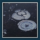 Roswitha Flury
  Gefrorene Luftblasen im See