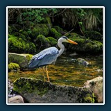 Ernst Weiß - Hab ich einen Hunger