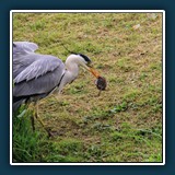 Ernst Weiß - Dich habe ich