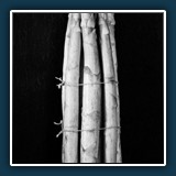 Helmut Benz  Spagel a la Blossfeldt