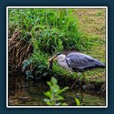 Ernst Weiß - Fette Beute