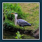Ernst Weiß - Und runter damit