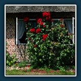 Alfred Schneider - Museum unter Reetdach Amrum