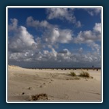 Alfred Schneider - Spuren Amrum