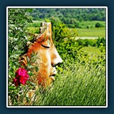 Walter Anstett - Face Musikantenbuckel Freinsheim