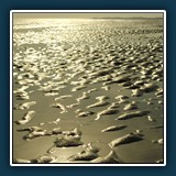 Alfred Schneider - Kulturerbe Wattenmeer