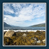 Anja Kleiner - Erde 02