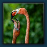 Im Dialog  
  Andreas Blättner