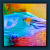 Das schwebende Blütenlicht  
  Margit Klaus