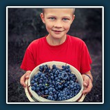 Erste Lese  
  Andreas Blättner