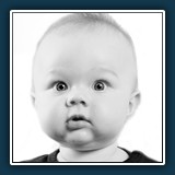 Bild des Monats März Günther Romey