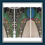 Andreas Skrenty: Triptychon