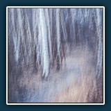 Andreas Skrenty
  Birken
  Olympus E-M10 Mark II
  1/1 sec, F16, ISO 200, 53 mm