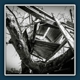 Hans Kirsch
  Baumhaus
  Nikon D 750   1/125 sec.   F8,  ISO 110,  24 mm