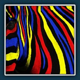 Helmut Benz - Zebrastreifen
  Panasonic DMC-FZ50, 1/800 sec. F 8, ISO 200, 88,8 mm (35 mm Äquivalent ~ 444 mm)