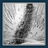 Margit Klaus - Experimente – Eisblumen – Pfefferminz
  Nikon D750
  1/13 sec., F 11, ISO 100, 105 mm