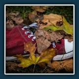 Hans Kirsch - Lost
  Nikon D750
  1/125 sec., f 5,6, ISO 280, 120 mm