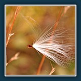 Rosi Flury - Letzter Halt
  Sony SLT-A37
  1/250 sec., f 5,6, ISO 400, 135 mm  (35 mm Äquivalent ~ 202 mm)