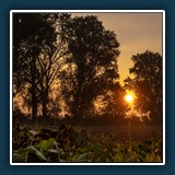 Andreas Blättner - Morgenstimmung
  Nikon Z 6