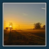 David Williams - Morgennebel
  Huawai L29
  1/11111 sec., f 1,6, ISO 50, 5,56 mm (35 mm Äquivalent ~ 27 mm)