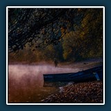 Andreas Blättner - Morgen am Altrhein
  Nikon Z 6