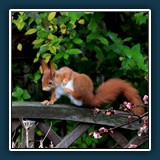 Ernst Weiß - Morgengymnastik
  Canon EOS 5 Mark III
  1/125 sec., f5,6, ISO 1000, 385 mm