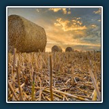 Andreas Blättner - Erntszeit
  Nikon Z 6
  ohne Daten