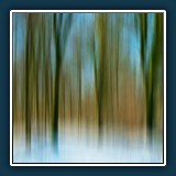 Thomas Seethaler  - Winterwald
  Panasonic DC-G9
  1/200 sec., f 5,6, ISO 200,  22,2 mm  (35 mm Äquivalent ~ 49 mm)