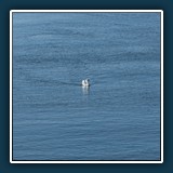 Andreas Skrenty - Freiraum 
  Olympus E-M10Mark II, OLYMPUS M.40-150mm F4.0-5.6 R 
  1/750 sec., f8, ISO 200, -0,5 EV, 150 mm (35 mm Äquivalent ~ 300 mm)