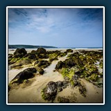 Hans Kirsch - Meeresgrund 
  Nikon D750, Tamron SP 15-30mm F2,8 Di VC USD 
  1/250 sec., f9, ISO 100, 15 mm