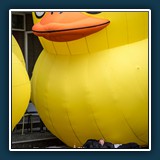 Andreas Skrenty - am boden 
  OLYMPUS E-M10MarkII, SIGMA 56mm F1.4 DC DN 
  1/1250 sec., f 3,2, ISO 200, Brennweite 56 mm (35 mm Äquivalent ~ 112 mm)