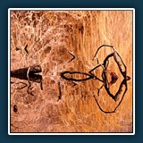 Rosi Flury - Spiegelungen 
  Sony Alpha 37, DT 18-135mm F3.5-5.6 SAM 
  1/160 sec., f 8, ISO 250, Brennweite 85 mm (35 mm Äquivalent ~ 127 mm)