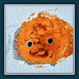 Helmut Benz - Alles Piep 
  Nikon D600 
  1/80 sec., f 11, ISO 200, +1,67 EV, Brennweite 120 mm