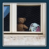 Hans Kirsch - Quarantäne 
  NIKON D750, 24.0-120.0 mm f/4.0 
  1/400 sec., f 10, ISO 720, Brennweite 120 mm (35 mm Äquivalent ~ 180 mm)